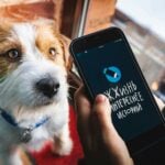 a person holding a cell phone next to a dog