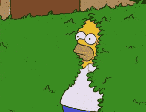 Homer Gif