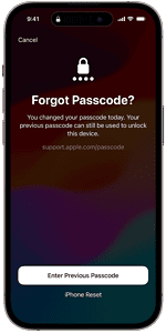 iphone 14 pro max passcode not working