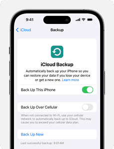 Iphone Setting Bio iPhone Settings App: Guide - SimplyMac