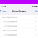 safari vollbildmodus iphone iPhone Blocked Contacts