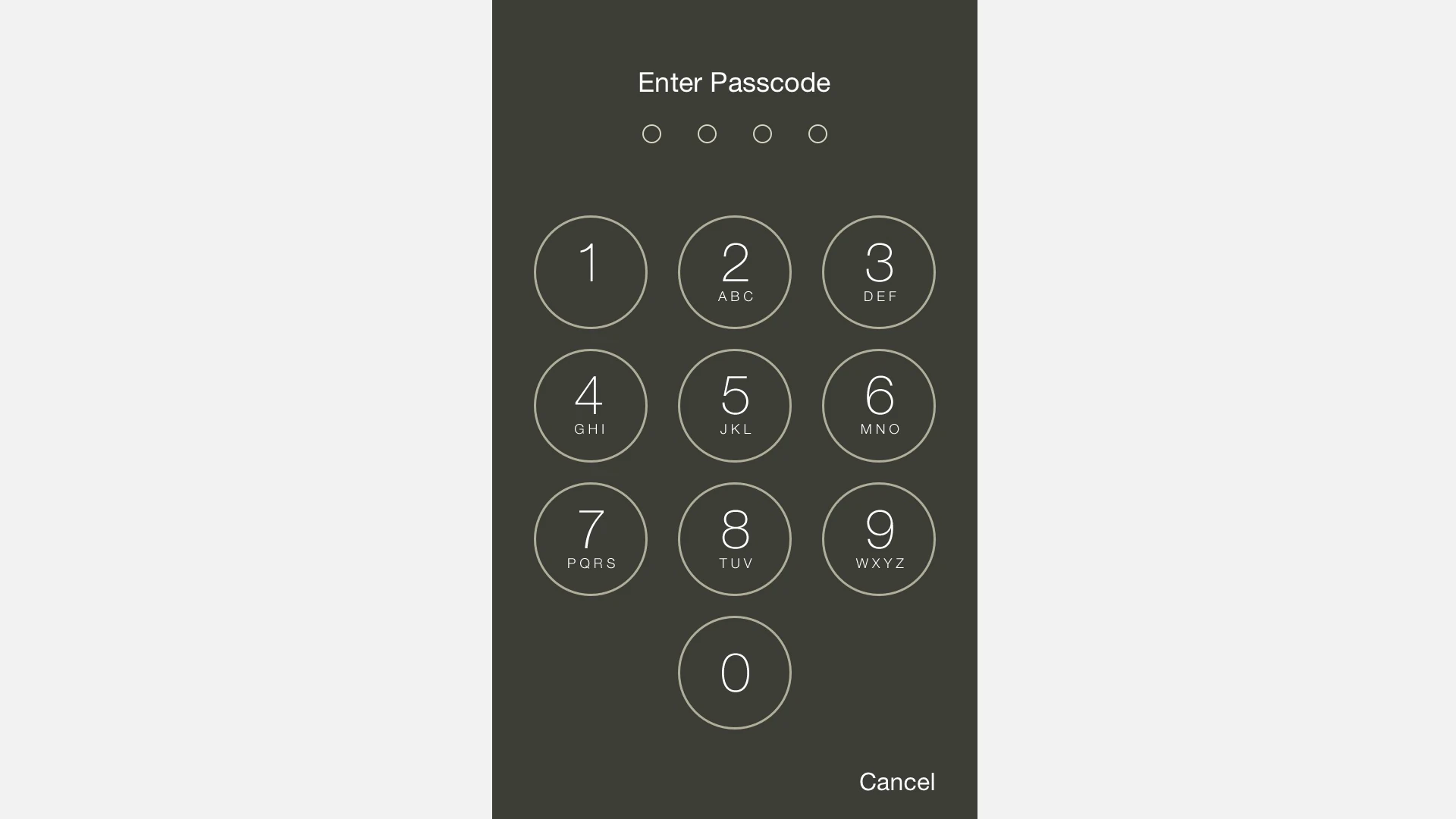 iPhone Passcode