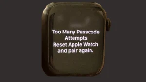 Too Many Passcode Attempts