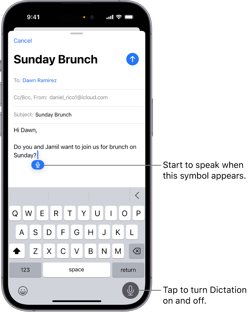 Voice To Text iPhone