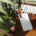 Two white phones rest near a houseplant.